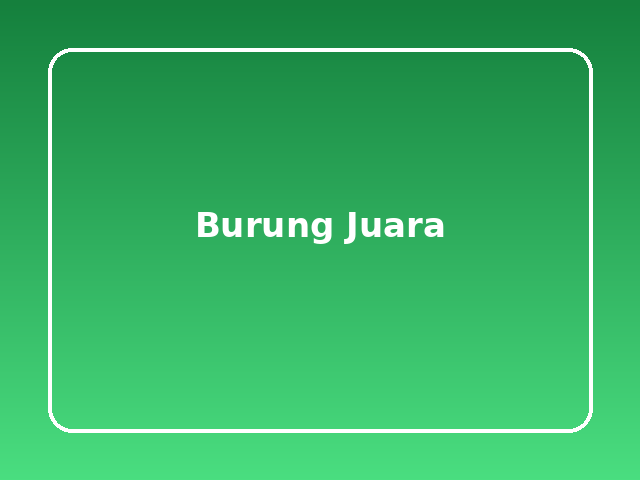 Burung Juara